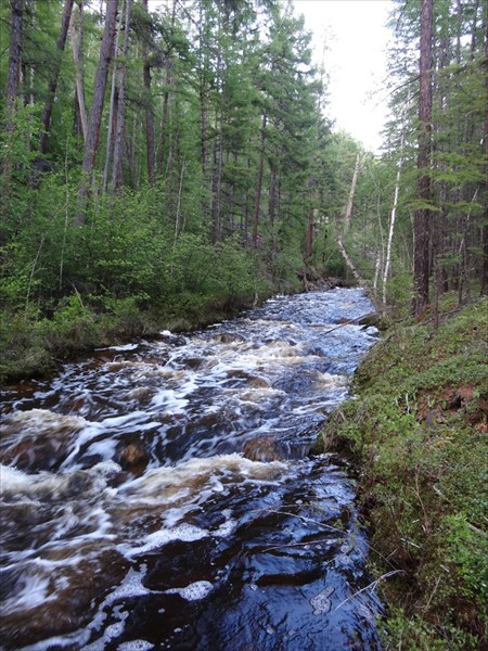 Конда Витим 184